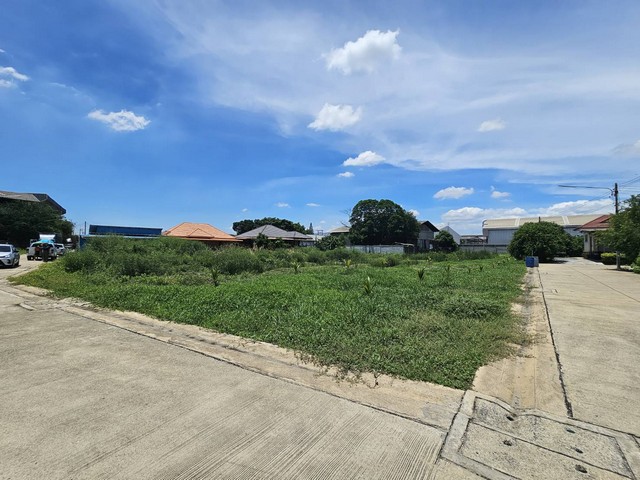 ขายที่ดินเปล่า 2 ไร่ ที่ดินกระทุ่มแบน โฉนด 3 แปลง