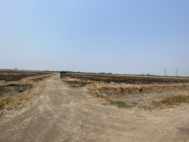 ขายที่ดินเปล่าบางประกง ฉะเชิงเทรา 143 ไร่ โฉนด 7 แปลง