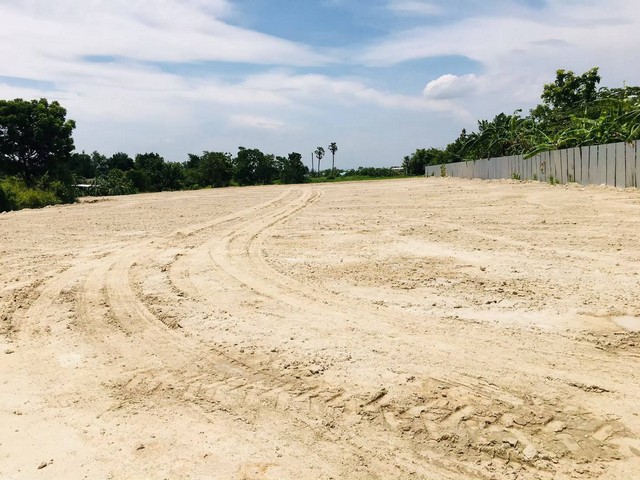 ขายที่ดินถมแล้วมาบไผ่ชลบุรี​ 988​ ตรว