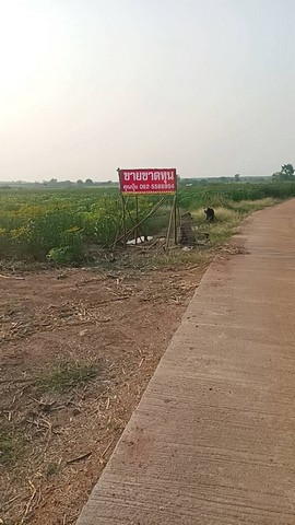 ขายที่ดิน 21 ไร่ วิวภูเขา ติดทางสาธารณะ 2 ด้าน ถมแล้ว ต.กลอนโด