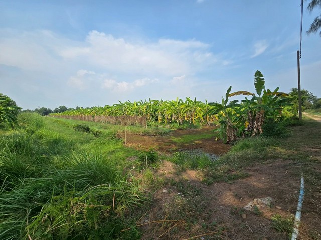 ขายที่ดินเปล่า 36ไร่ 3งาน 40.1ตารางวา บางปลากด คลอง29 จ.นครนายก