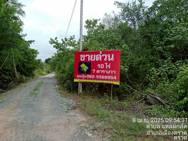 ขายที่ตราด ที่เปล่าแหลมกลัด ที่ใกล้ทะเลติดคลองสนห่างจากทะเล100เมต