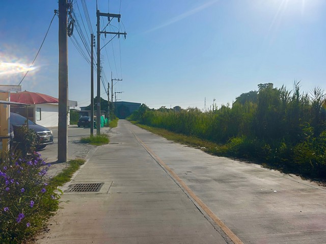 ขายที่ดินพานทองชลบุรี 4-1-35 ไร่