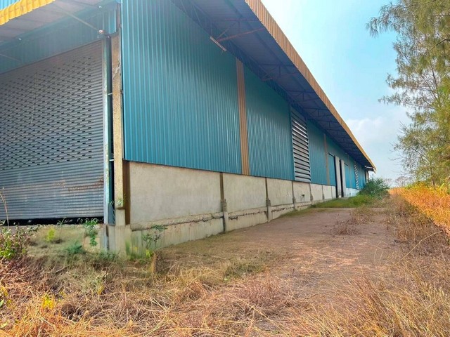 ขายโรงงานพนัสนิคมราคาถูก 10-3-70 ไร่