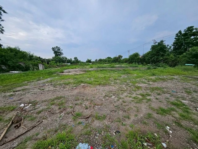 ให้เช่าที่ดินพานทองชลบุรี 4 ไร่