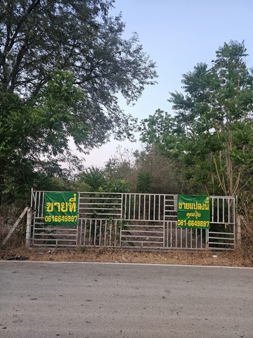 ขายที่เปล่าราชบุรีติดถนนทางหลวงชนบท จ.ราชรี
