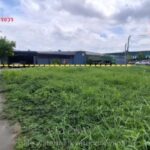 ขายที่ดิน 403 ตรว.หทัยราษฏร31 ที่ดินเข้าซอย100 ม.กรุงเทพ