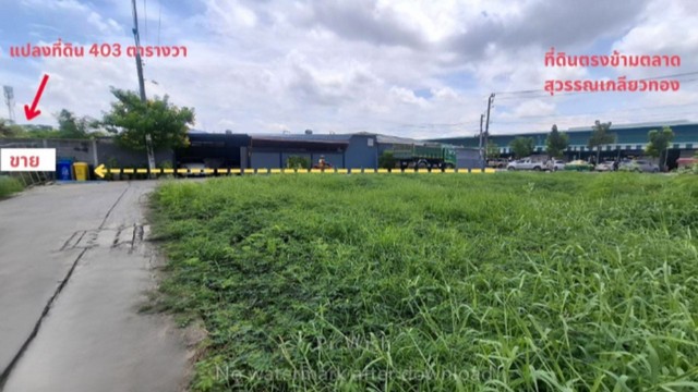 ขายที่ดิน 403 ตรว.หทัยราษฏร31 ที่ดินเข้าซอย100 ม.กรุงเทพ