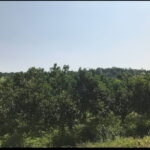 ขายสวนส้มพร้อมส้มพร้อมขาย 1000 ไร่