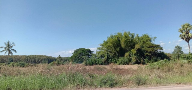 พฤษภาคมแห่งการซื้อทรัพย์สวย ขายที่ติดน้ำโขง ต.กุดบง โพนพิสัย หนอง