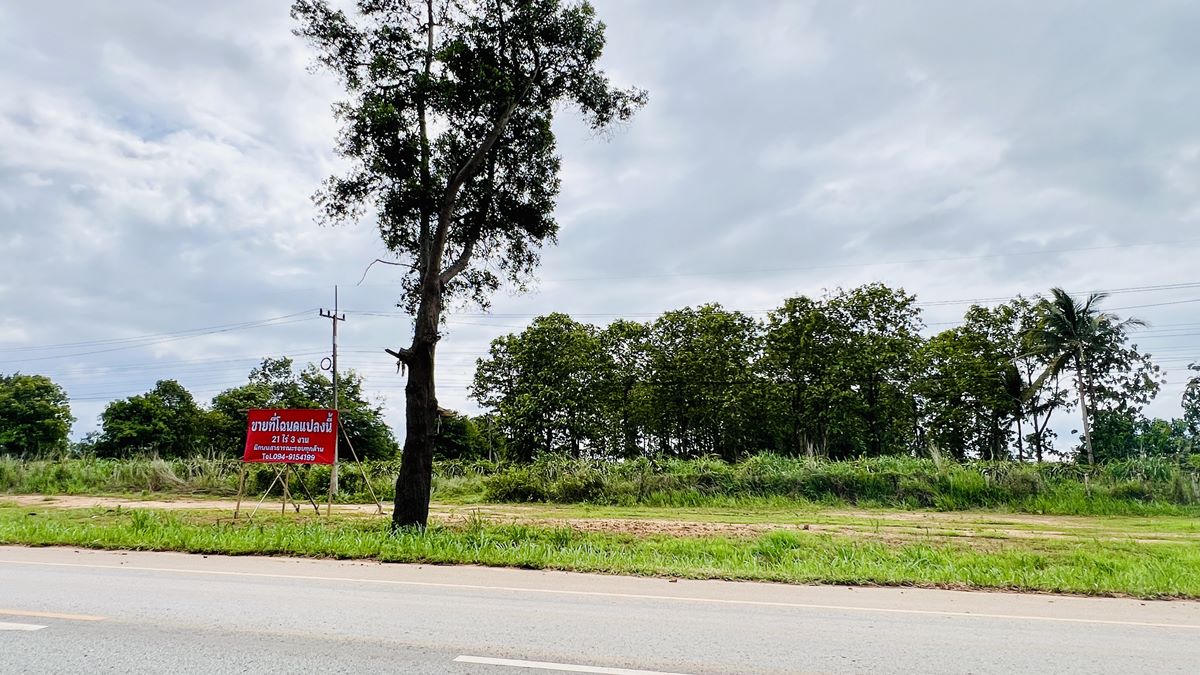 ขายที่ดิน อำเภอภูเรือ จังหวัดเลย 21 ไร่ 3 งาน 15 ตร.ว. ติดถนนทางหลวงหมายเลข 21 โทร 094-9154199