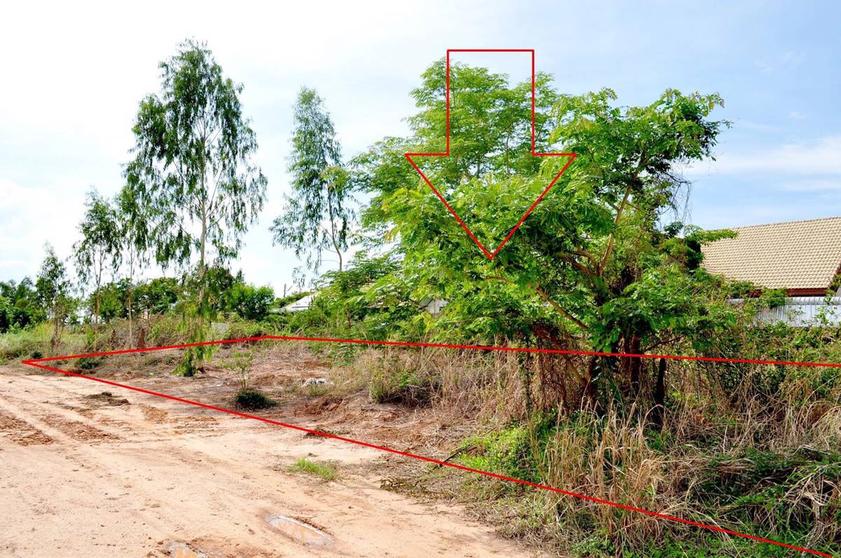 ขายที่ดินใกล้แยกอินโดจีน จังหวัดพิษณุโลก ขนาด 200 ตารางวา ถมแล้ว โทร 082-404-8483