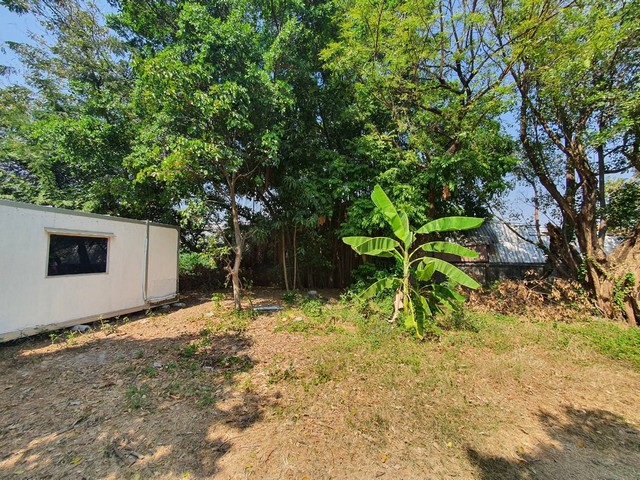 เช่าที่ดิน ตรงข้ามตลาดยิ่งเจริญ ตลาดสะพานใหม่