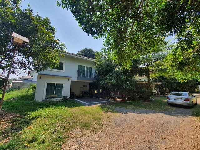 เช่าบ้านเดี่ยว ตรงข้ามตลาดยิ่งเจริญ ตลาดสะพานใหม่ ใกล้รถไฟฟ้า BT