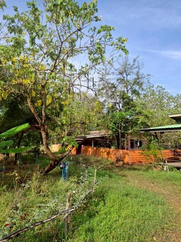 ขายที่ดิน เนื้อที่รวม 15-0-12.6 ไร่