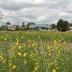 ขายที่ดิน ติดถนนมิตรภาพอุดรธานี ขอนแก่น