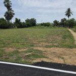 ขายที่ดิน กาญจนบุรี อ.ท่ามะกา ขนาด 1ไร1งาน ใกล้ตลาดพระแท่น