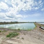 ขายที่ดินเปล่า สุพรรณบุรี 6 ไร่ 3 งาน 72 ตร.ว ติดถนนสาธารณะประโ