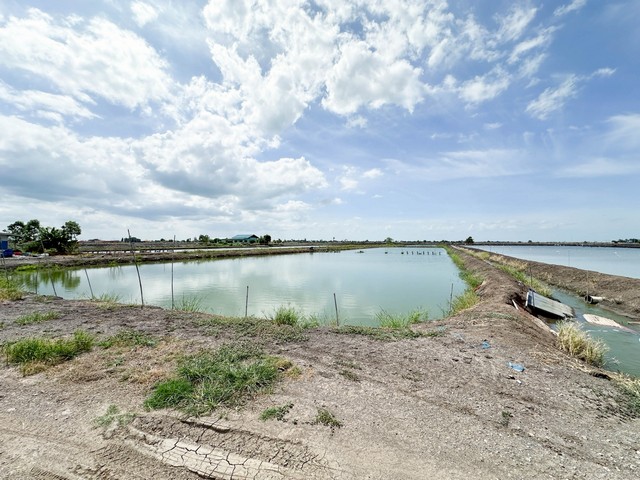 ขายที่ดินเปล่า สุพรรณบุรี 6 ไร่ 3 งาน 72 ตร.ว ติดถนนสาธารณะประโ