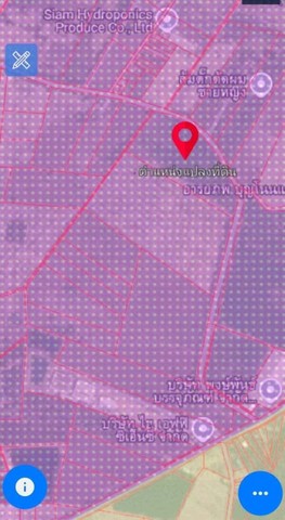 ขายที่ดินผังม่วงลายโซนนิคมเกตเวย์ฉะเชิงเทรา 101 -3-85 ไร่