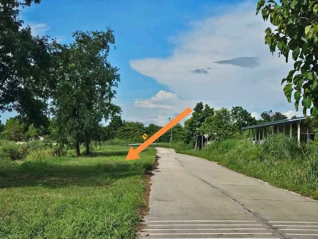 ขายที่ดินสวยใกล้อมตะนครชลบุรี 10 ไร่