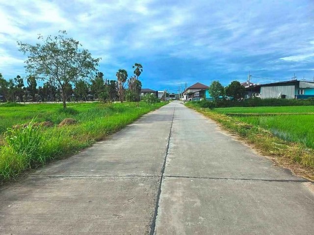 ขายที่ดินสวยหนองหงส์พานทองชลบุรี 10 ไร่