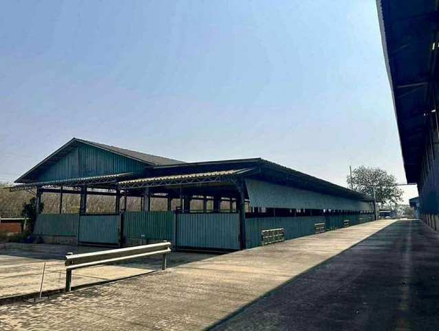 ให้เช่าคลังสินค้านิคมพัฒนาระยองพื้นที่ใช้สอยประมาณ10,078 ตร.ม