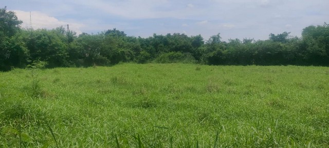 ที่ดินเปล่า ต.บ้านใหม่ อ.เมือง จ.นครราชสีมา