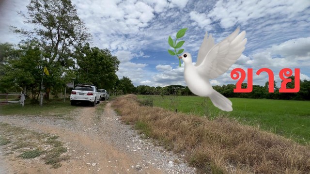 ขายที่ดิน 4ไร่ครึ่งใกล้แยกสันมะค่า ต.บัวลอย อ.หนองแค จ.สระบุรี