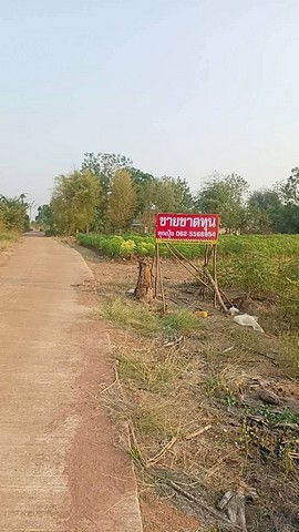 ขายที่ดินวิวภูเขา กาญจนบุรี มีโฉนด พร้อมโอน