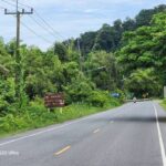 ที่ดินเปล่า เนื้อที่ 8 ไร่ 3 งาน 12.9 ตร.ว.