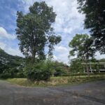 ขายที่ดินแปลงมุม 289.9 ตร.ว ภูภัทรา ปากช่อง เขาใหญ่ ติดถนน 2 ด้าน