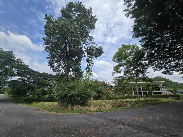 ขายที่ดินแปลงมุม 289.9 ตร.ว ภูภัทรา ปากช่อง เขาใหญ่ ติดถนน 2 ด้าน