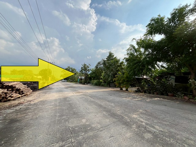 ขายที่ดินเท่าราคาประเมิน รังสิต คลอง9 ปทุมธานี