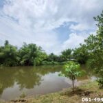 ขายที่สวนติดแม่น้ำนครนายก ต.ศรีนาวา อ.เมืองนครนายก
