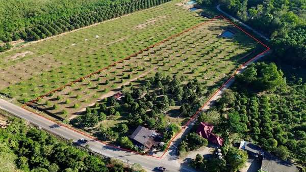 ขายที่ดินพร้อมสวนทุเรียน ติดถนนทางหลวงชนบทจันทบุรี 1028