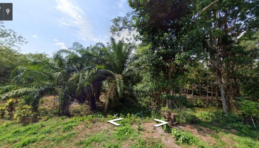 ขายที่ดินสวนผลไม้ เงาะ ทุเรียน มุงคุด 5ไร่ บ.ท่าชัย จ.นครนายก