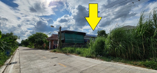 ขายที่ดินลำลูกกา คลอง4 สุสวาท ปทุมธานี