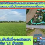 ขายที่ติดคลอง 28 ไร่ ต.บ้านโพธิ์ อ.บ้านโพธิ์ จ.ฉะเชิงเทรา