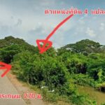 ขายที่ดินถมแล้ว แปลงใหญ่ 30-1-20 ไร่ หน้ากว้าง 270ม. อ่างทอง ราชบ