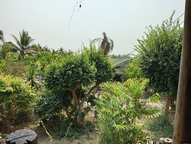 ขายที่ดิน 7-2-33 ไร่ รวม 3 แปลง ท่ามะกา กาญจนบุรี ใกล้แหล่งท่องเท