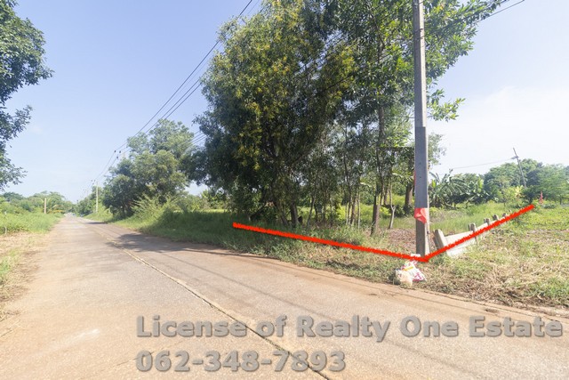 ขายที่ดินเปล่าถมแล้ว คลอง 11 หนองเสือ ปทุมธานี น้ำ ไฟ พร้อม