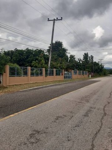 ขายที่ดิน 3-2-11ไร่ 1.8ล. สวนมะม่วง ลำไย อ.ดอยหล่อ เชียงใหม่