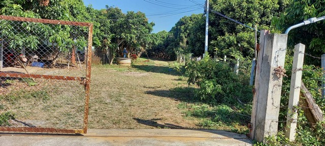 ขายที่ดินเกือบ9ไร่ 1.9ล.สวนลำไย ติดน้ำลี้ ต.แม่ตืน ลี้ ลำพูน