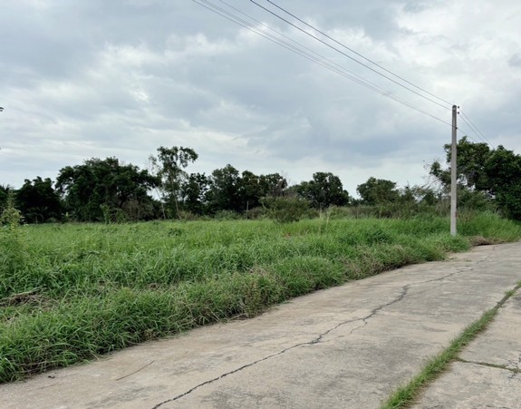 ขายที่ดินคลองสี ฝั่งตะวันออก คลองหลวง ปทุมธานี เนื้อที่ 850 ตาราง