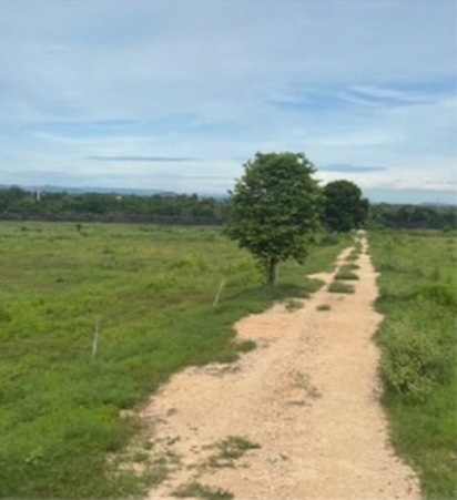 ขายที่ดิน เนื้อที่ 114 ไร่ กว่าๆ บ้านโป่ง ราชบุรี