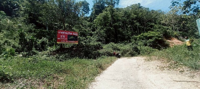 ขายที่เปล่าภูเก็ต ที่ดินมีโฉนด ติดดถนนสาธารณะกว้าง6เมตร