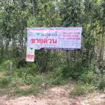 ที่ดินพร้อมสวนป่ายูคาลิปตัส 20-0-18 ไร่ สันป่าตอง นาเชือก มหาสารค