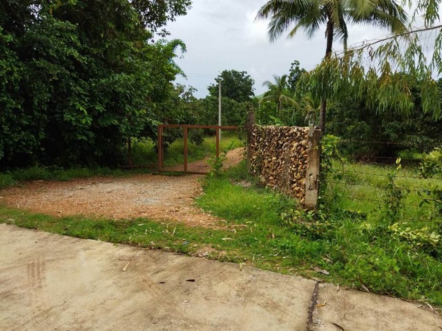 ขายที่ดิน7-1-76ไร่ 2.7ล. ถนนน้ำไฟฟ้า ทาสบเส้า แม่ทา ลำพูน