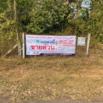 ขายที่ดินสวนยางพารา 37-2-80 ไร่ ต.นาพู่ อ.เพ็ญ จ.อุดรธานี